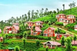 Ooty