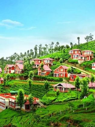 Ooty